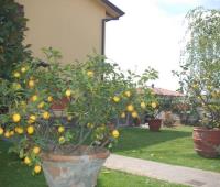Holidays House at Lucca